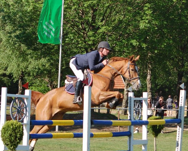 jumper Lacoste 80 (Oldenburg, 2000, from Landor S)