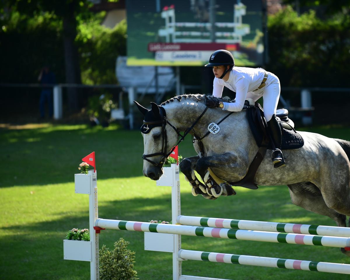 Chovná klisna Casadena 3 (Holštýnský kůň, 2013, od Connor 48)