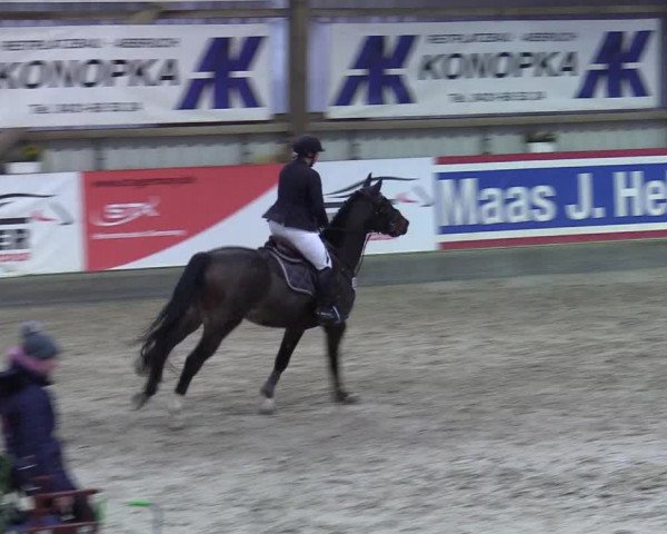 5. Nordic Jumping event Negernbötel 2022