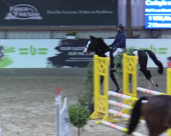 5. Nordic Jumping event Negernbötel 2022