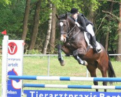 jumper Chinzano 2 (Hanoverian, 2002, from Charon)