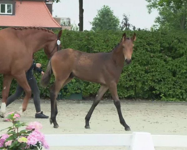 Video von For Finnian