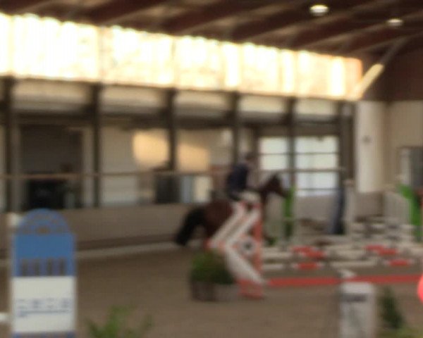 Reitturnier Langenfeld - Gut Langfort 2022