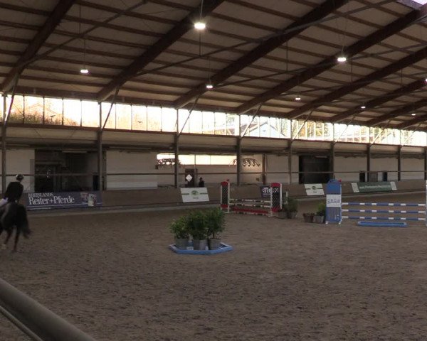 Reitturnier Langenfeld - Gut Langfort 2022