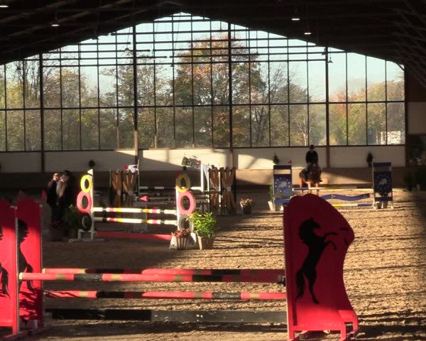 Reitturnier Langenfeld - Gut Langfort 2022
