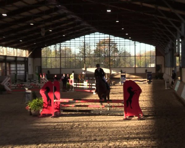 Reitturnier Langenfeld - Gut Langfort 2022