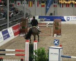 jumper Loristan M (Oldenburg, 2004, from Lord Pezi)