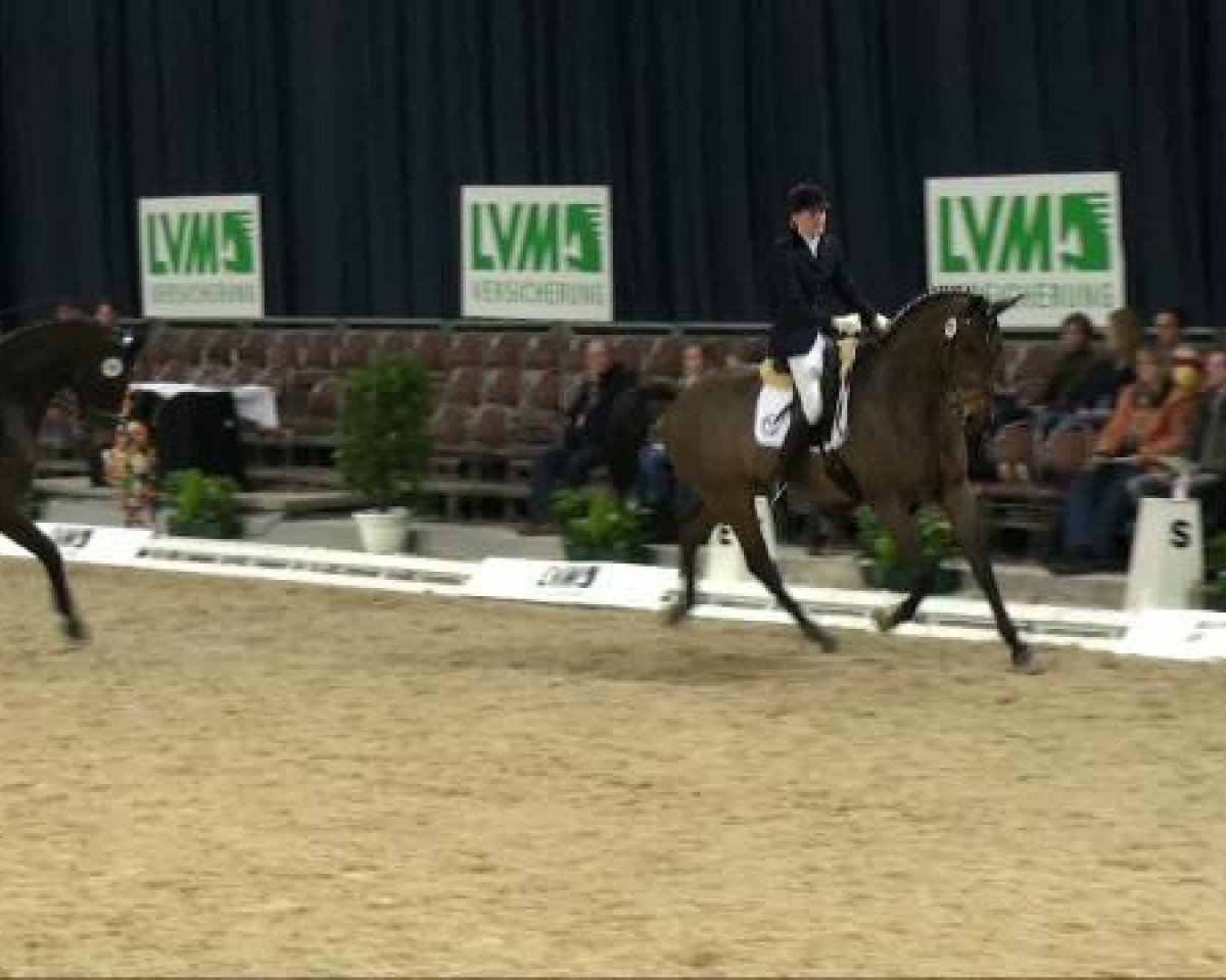dressage horse Fleetwood Macc (Westphalian, 2001, from Florestan I)