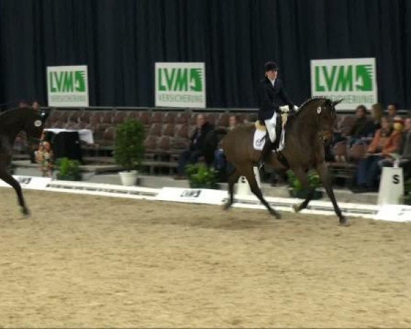 dressage horse Fleetwood Macc (Westphalian, 2001, from Florestan I)