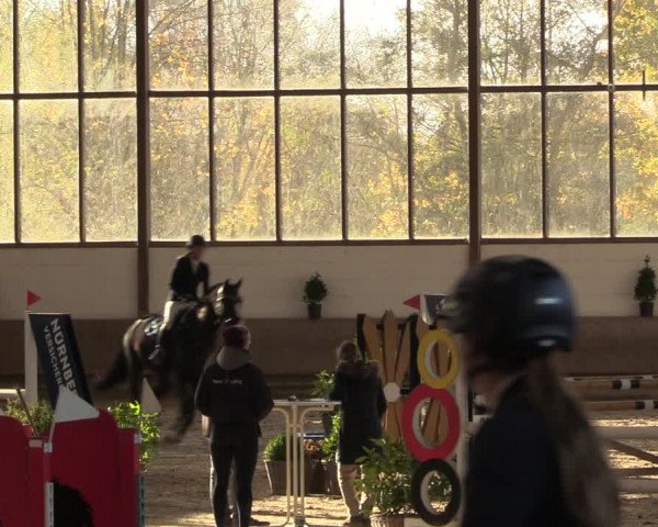 Reitturnier Langenfeld - Gut Langfort 2022