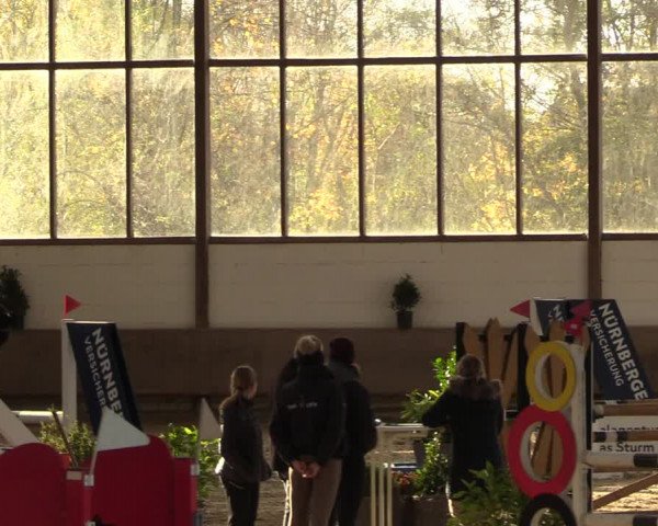 Reitturnier Langenfeld - Gut Langfort 2022