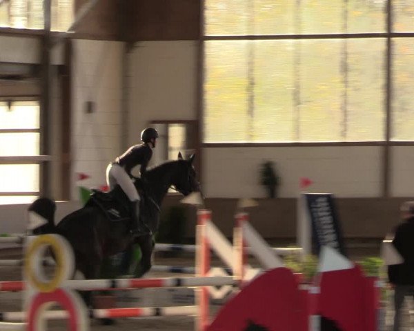 Reitturnier Langenfeld - Gut Langfort 2022