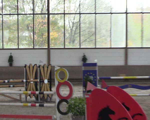 Reitturnier Langenfeld - Gut Langfort 2022