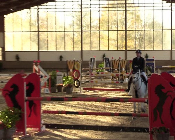 Reitturnier Langenfeld - Gut Langfort 2022