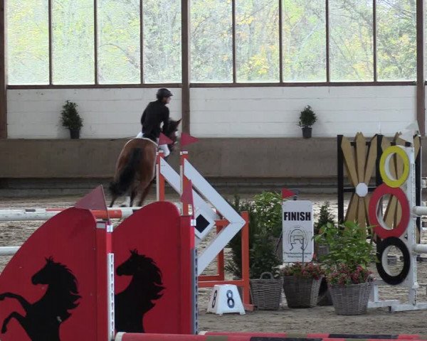 Reitturnier Langenfeld - Gut Langfort 2022