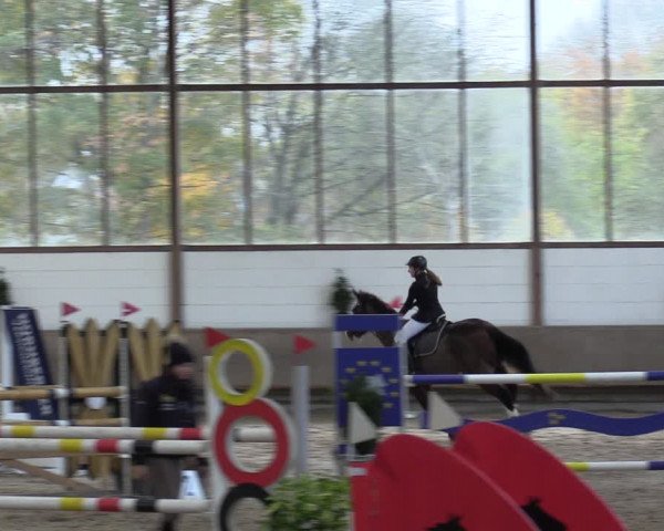 Reitturnier Langenfeld - Gut Langfort 2022
