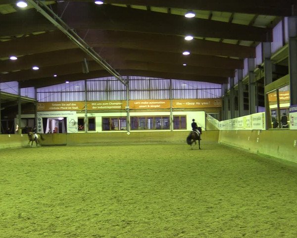 Reitturnier Appelhülsen 2022