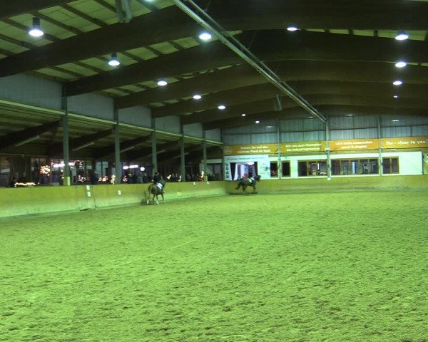 Reitturnier Appelhülsen 2022