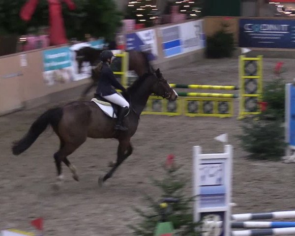 Reitturnier Leck 2022