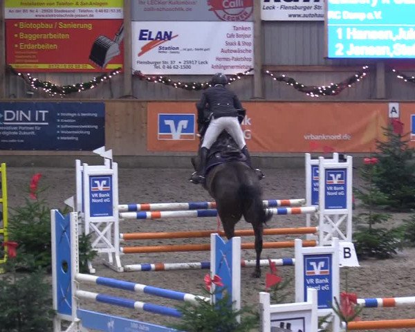 Reitturnier Leck 2022