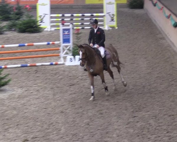 Reitturnier Leck 2022