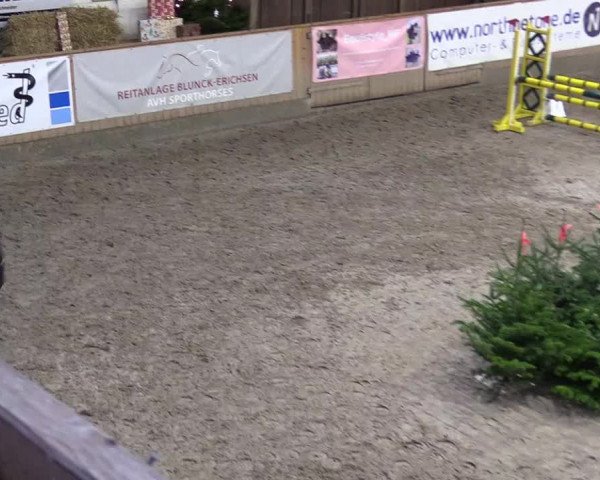 Reitturnier Leck 2022
