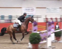 horse Take it Easy 25 (Rhinelander, 2000, from Lupicor)
