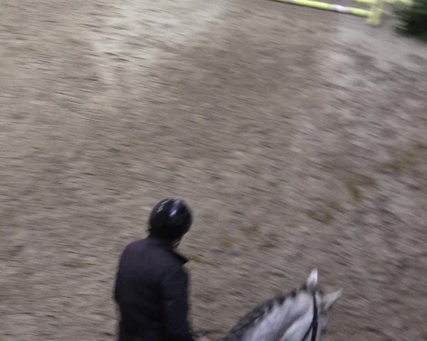 Reitturnier Leck 2022