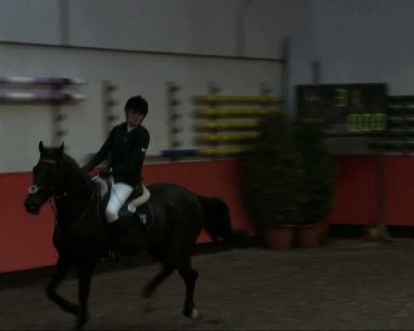 jumper Manitou 132 (Danish Warmblood, 2001, from Lobster)