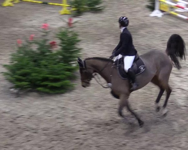 Reitturnier Leck 2022