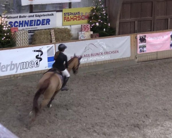 Reitturnier Leck 2022