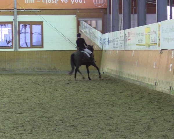 Reitturnier Appelhülsen 2022