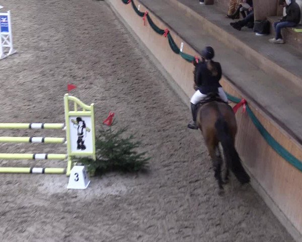 Reitturnier Leck 2022