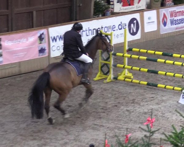 Reitturnier Leck 2022