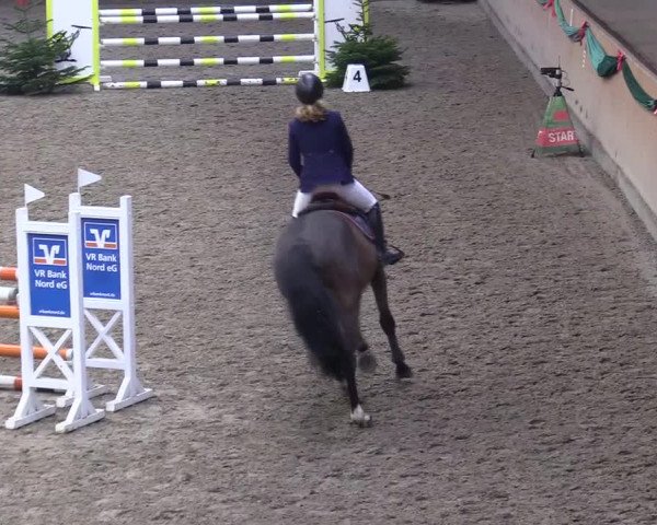 Reitturnier Leck 2022