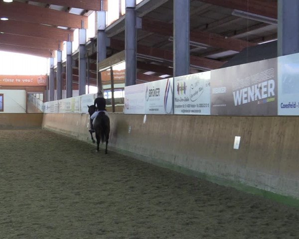 Reitturnier Appelhülsen 2022
