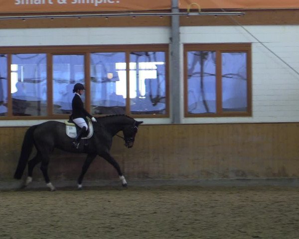 Reitturnier Appelhülsen 2022