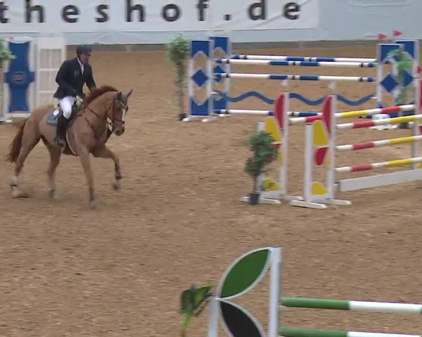 Reitturnier Kreuth/Opf. 2022