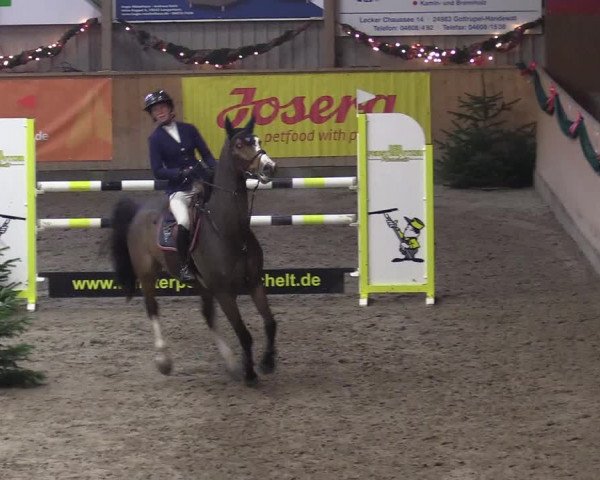 Reitturnier Leck 2022