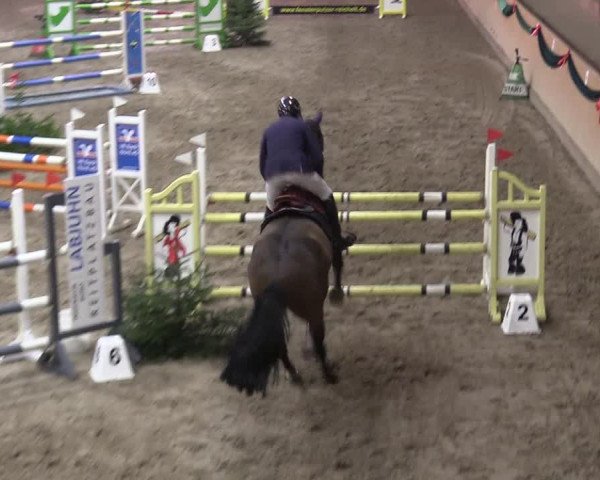 Reitturnier Leck 2022