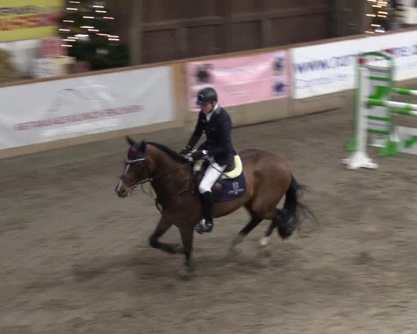 Reitturnier Leck 2022