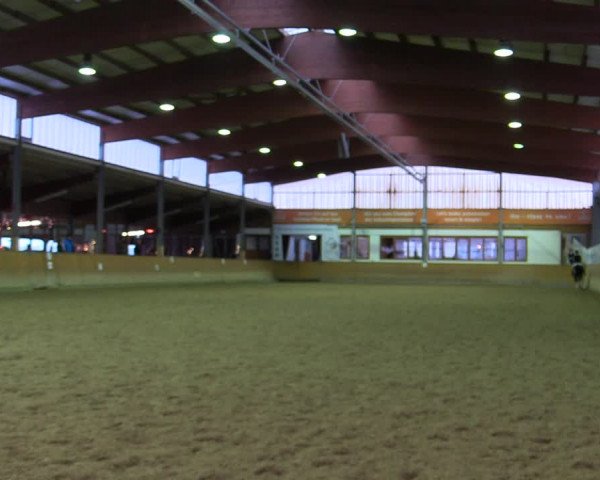 Reitturnier Appelhülsen 2022