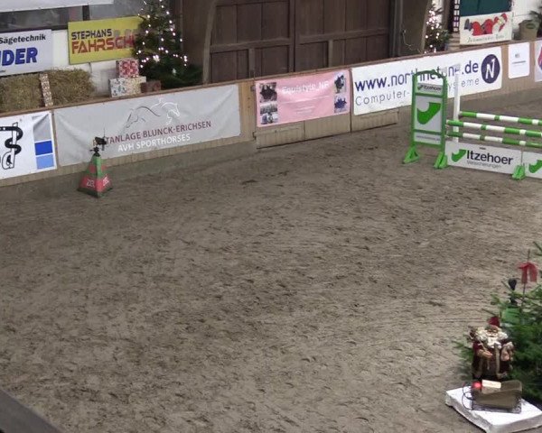 Reitturnier Leck 2022