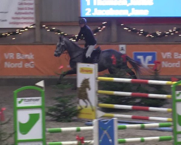 Reitturnier Leck 2022