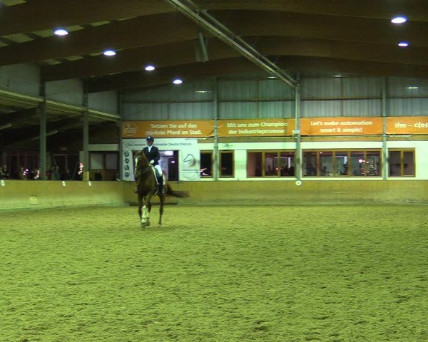 Reitturnier Appelhülsen 2022