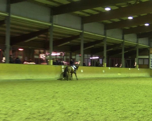 Reitturnier Appelhülsen 2022