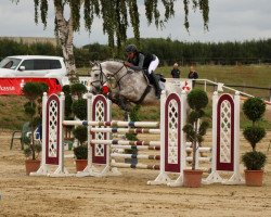 Springpferd Le Joly 3 (Zangersheide Reitpferd, 2015, von Lyjanero)
