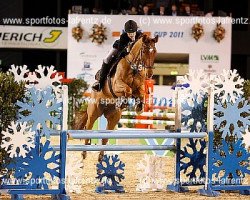 broodmare Annalena D (Westphalian, 2000, from Arpeggio)