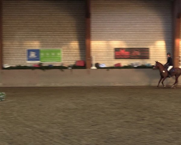 Reitturnier Kamen 2022