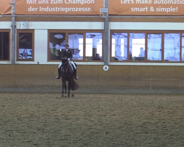 Reitturnier Appelhülsen 2022
